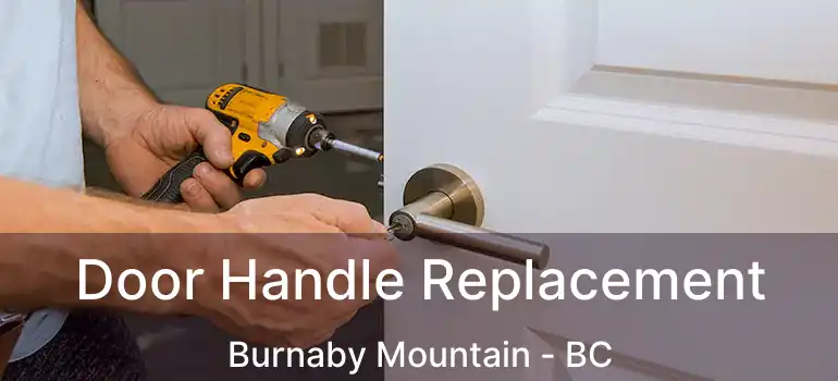 Door Handle Replacement Burnaby Mountain - BC