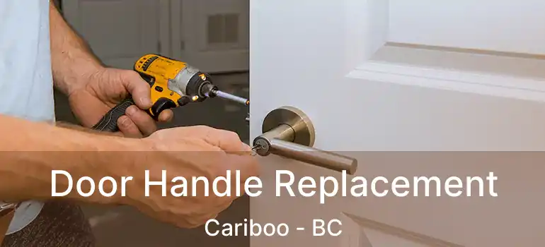 Door Handle Replacement Cariboo - BC