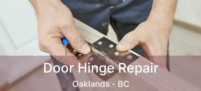 Door Hinge Repair Oaklands - BC