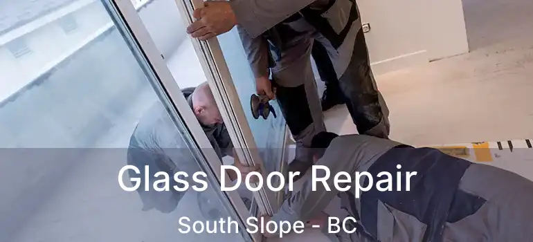 Glass Door Repair South Slope - BC