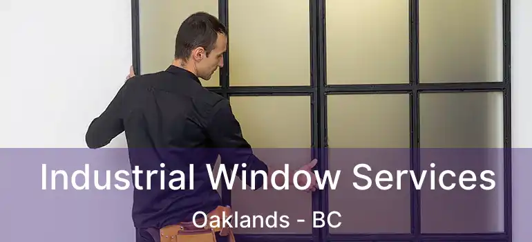 Industrial Window Services Oaklands - BC