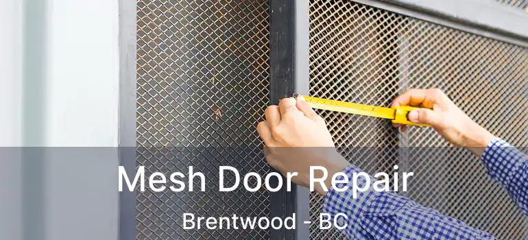 Mesh Door Repair Brentwood - BC