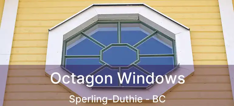 Octagon Windows Sperling-Duthie - BC