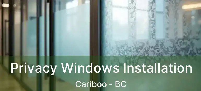Privacy Windows Installation Cariboo - BC