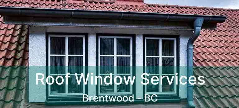 Roof Window Services Brentwood - BC