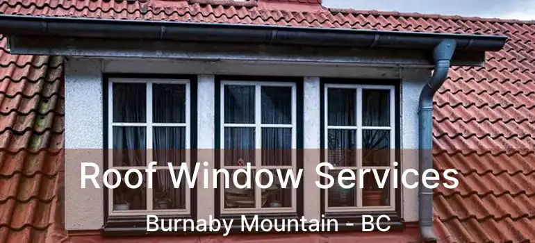 Roof Window Services Burnaby Mountain - BC
