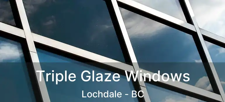 Triple Glaze Windows Lochdale - BC