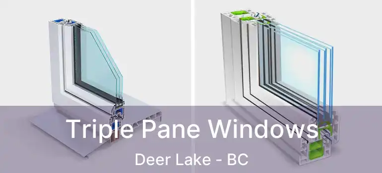 Triple Pane Windows Deer Lake - BC