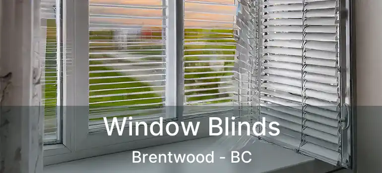 Window Blinds Brentwood - BC