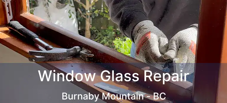 Window Glass Repair Burnaby Mountain - BC