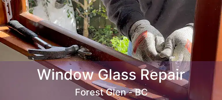 Window Glass Repair Forest Glen - BC