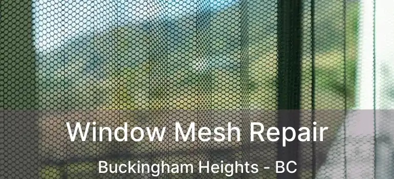 Window Mesh Repair Buckingham Heights - BC