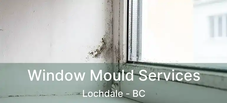 Window Mould Services Lochdale - BC