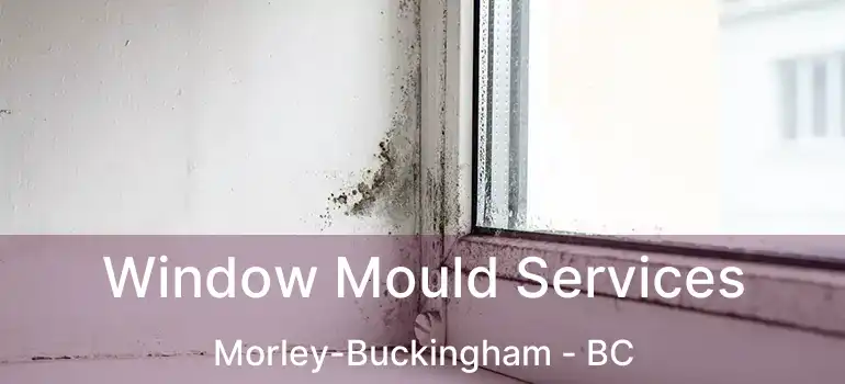 Window Mould Services Morley-Buckingham - BC