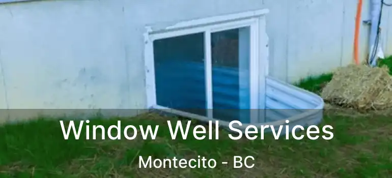 Window Well Services Montecito - BC