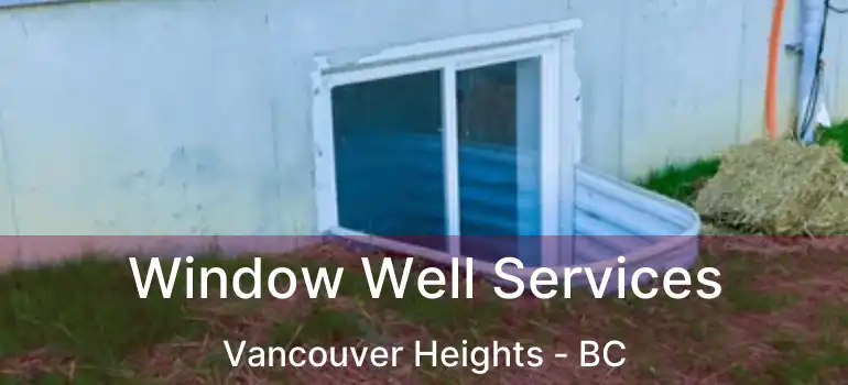 Window Well Services Vancouver Heights - BC